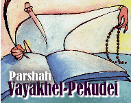 This Week's Torah Portion: Vayak'hel-Pekudei